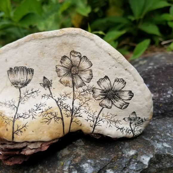 About Inspiration Boreal - Picture 12 of 16